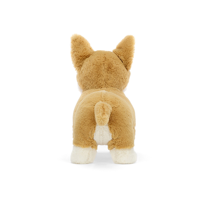Piesek Corgi Betty!