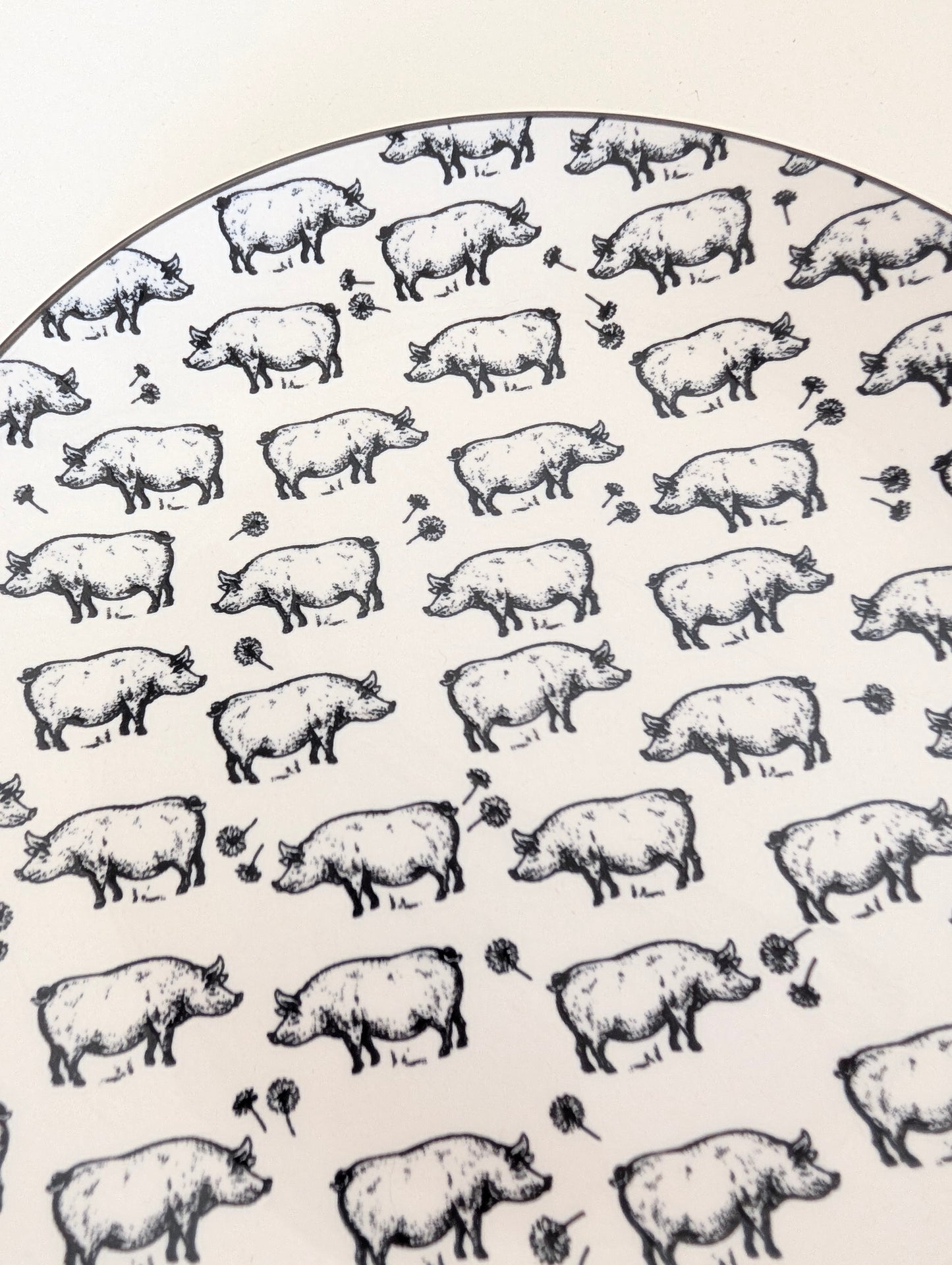 Talerz ze świnkami!