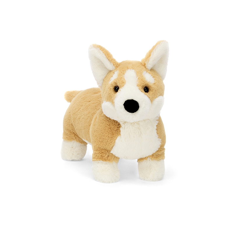 Piesek Corgi Betty!