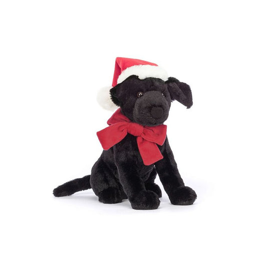 Labrador w czapce Świętego Mikołaja!