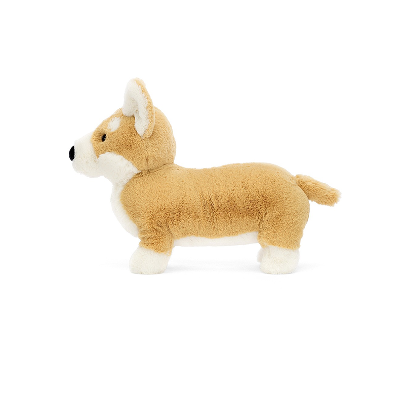 Piesek Corgi Betty!