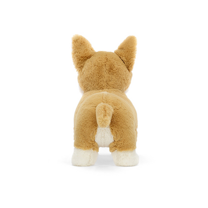 Piesek Corgi Betty!