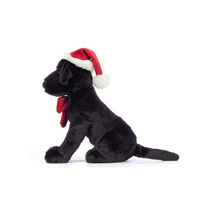 Labrador w czapce Świętego Mikołaja!