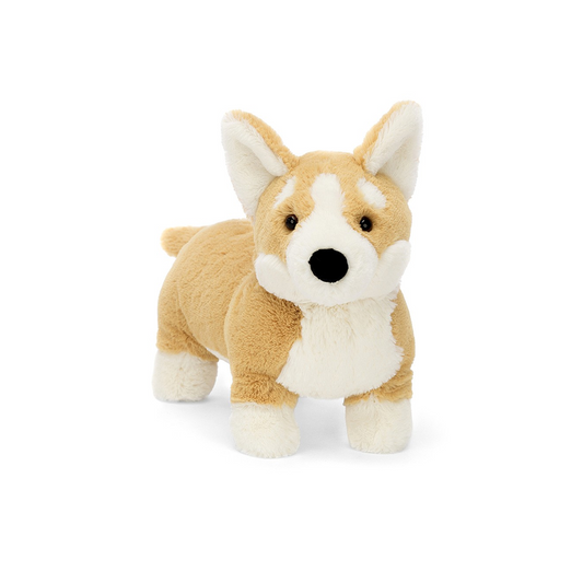 Piesek Corgi Betty!