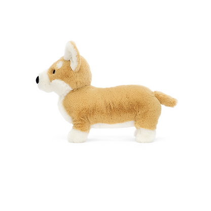 Piesek Corgi Betty!